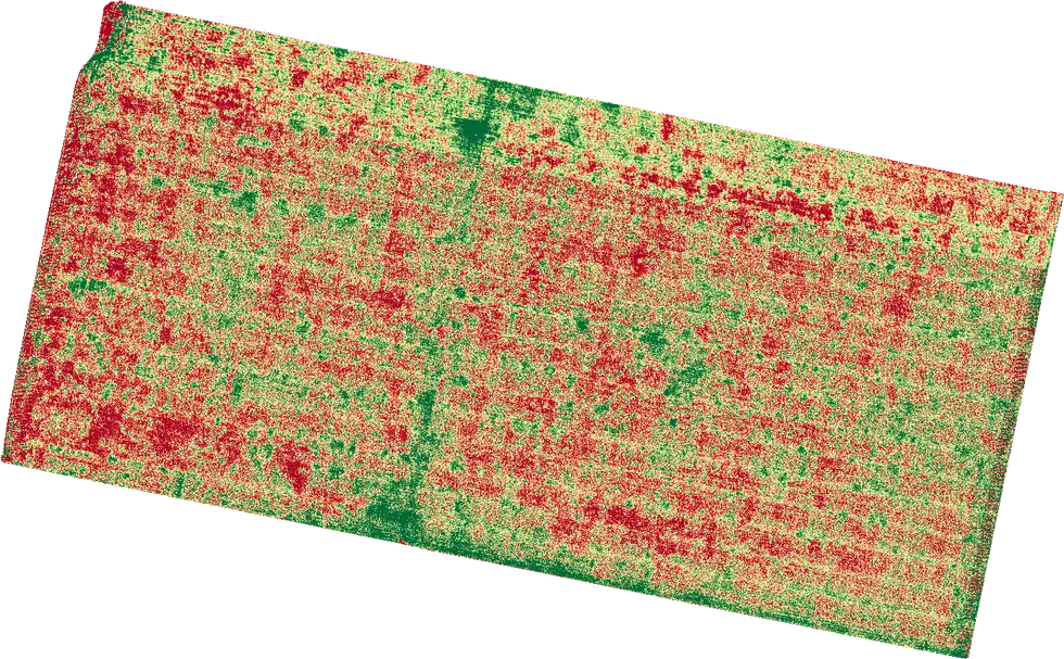 Mapa de vigor de un lote de trigo: cada tono es una diferencia medida dentro del mismo lote